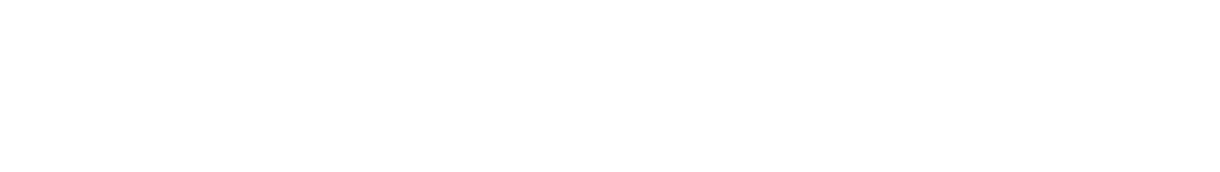 VNSEEA Logo